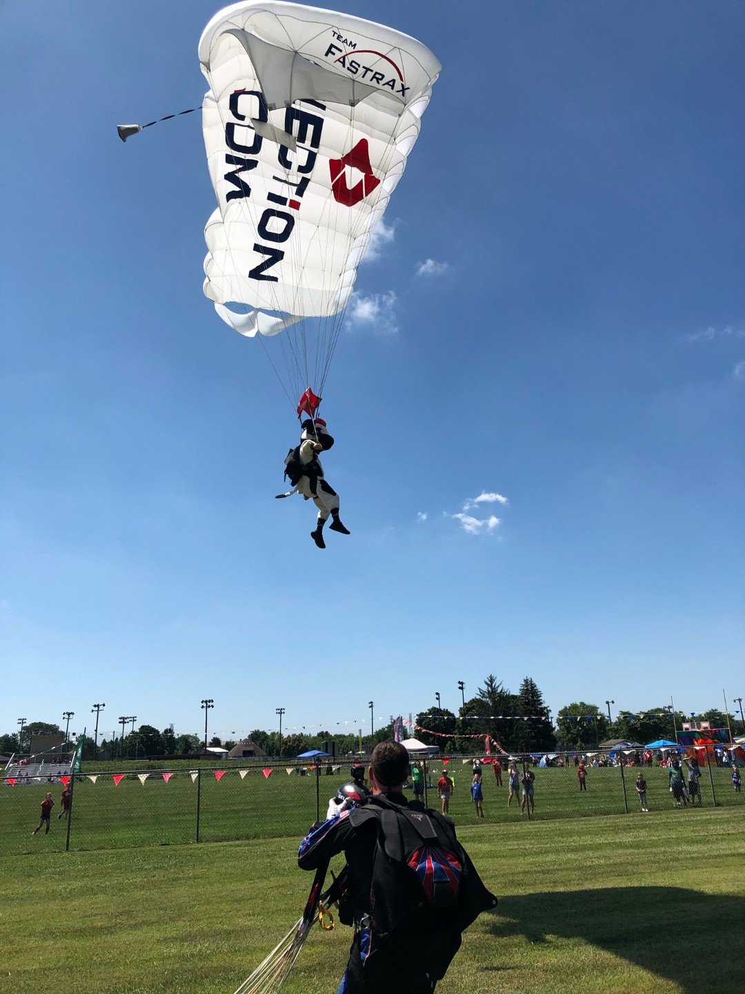 Cow sticks the landing