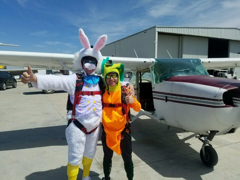 Easter Bunny & the carrot — boarding